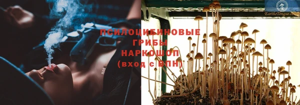 ECSTASY Алексеевка