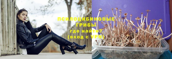 не бодяженный Аркадак