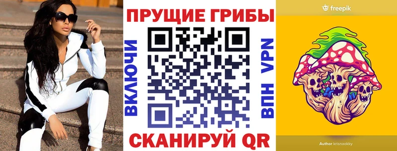 kraken ссылки  Нарткала  Галлюциногенные грибы Psilocybe 